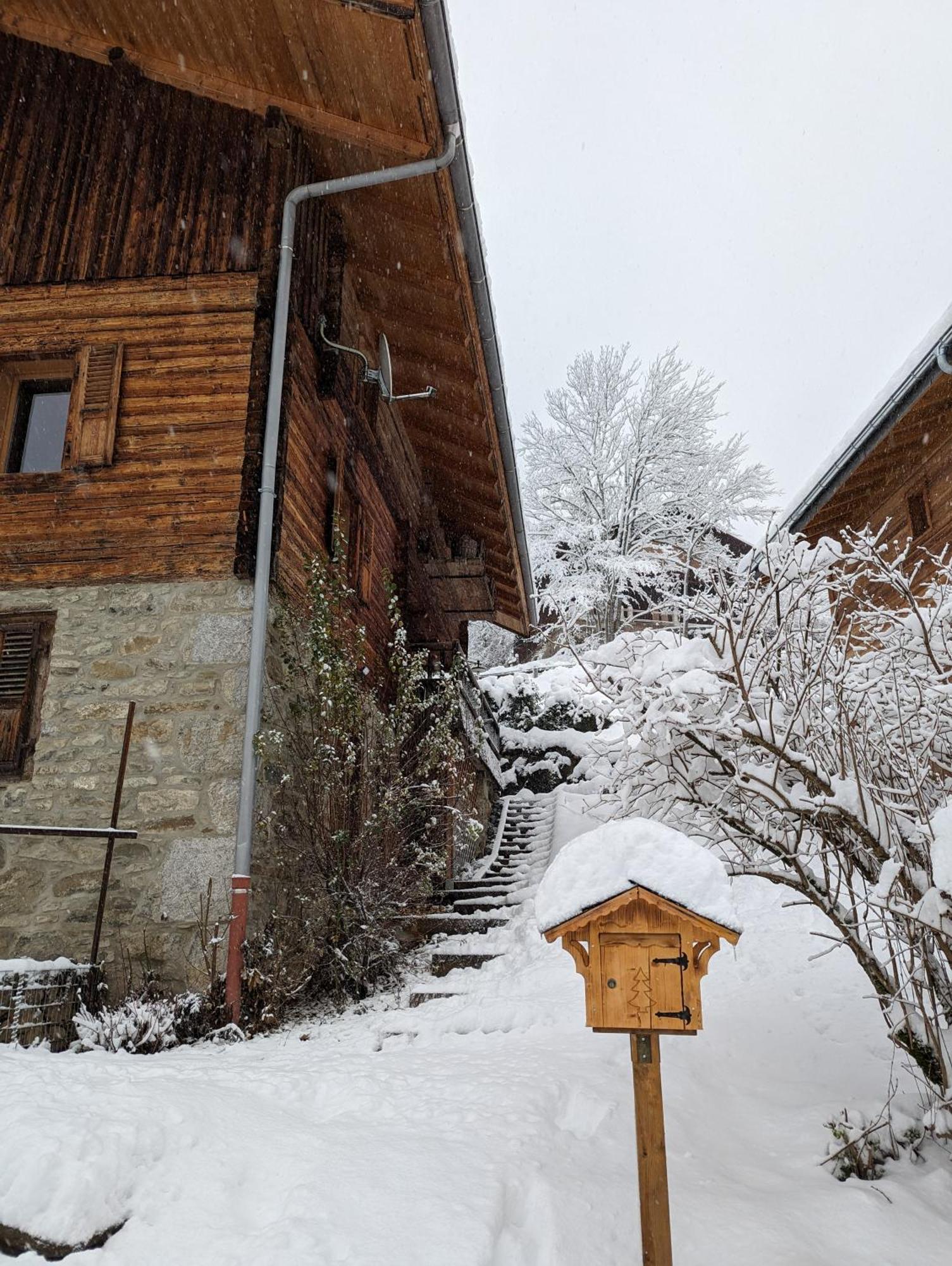 Bas De Chalet Au Coeur Des Aravis, Entre Lac Et Montagne Saint-Jean-de-Sixt Dış mekan fotoğraf
